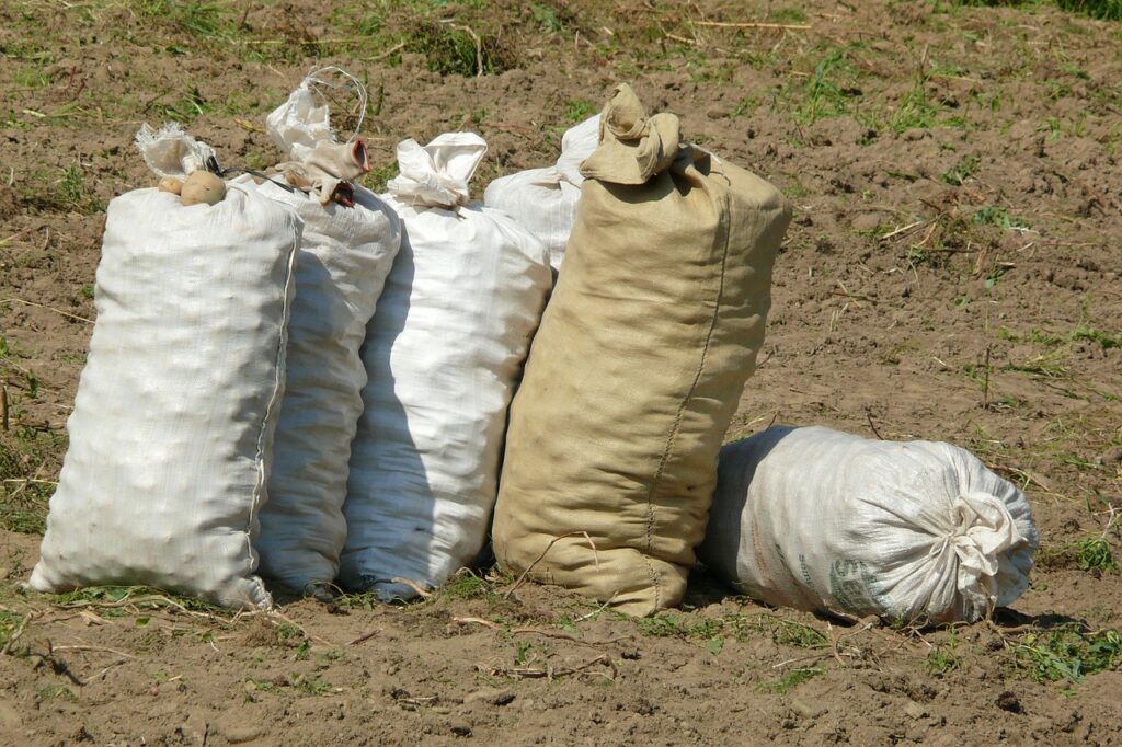安納芋の干し芋の無添加で楽しむ甘さの特徴とは？